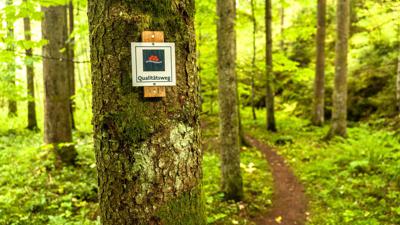 Doinich Ursprung / Neuweiler (Qualitätsweg)
