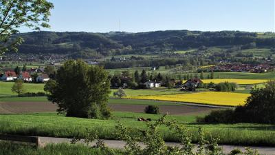 Kürnbach Schlossberg-Tour 1 #Schwarzrieslingdorf