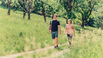 SB2 Vom Schozachtal zum Deinenbach – Weinwanderung