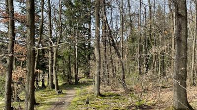 Flora – Fauna & Panorama