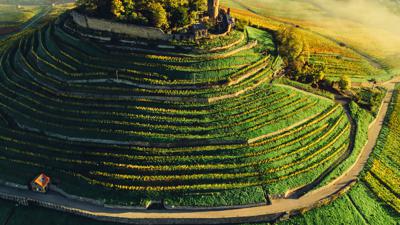 WT7 Wein- und Rosenrundweg Weinsberg