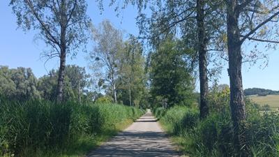 Wo der „Wilde Fritz“ haust und der „König“ thront