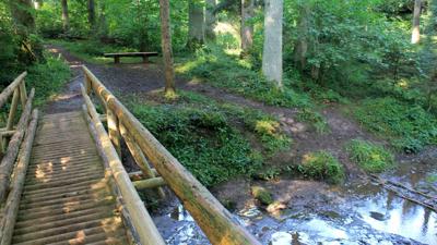 Waltersholz-Rundweg