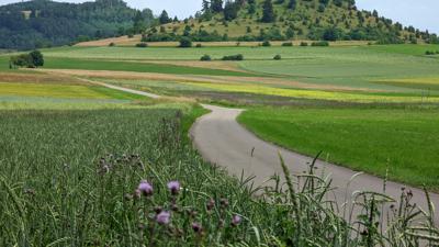 Talheimer Wasserfälle und Salmendinger Kapelle