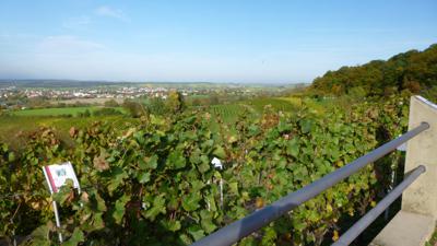OD2 – Derdinger Horn Tour
