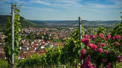 Korber-Kopf-Route