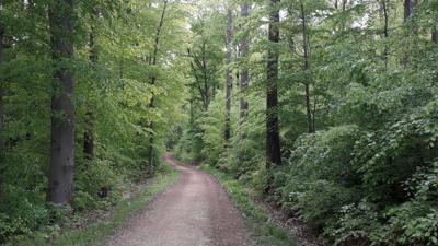 Sonniger Rundwanderweg durch Schanbach und Krummhardt (RW 7)