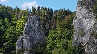 Von Wald nach Walbertsweiler
