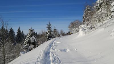 Herrischried: Schneeschuhwanderung – Hornbergtour