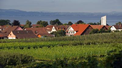 Hohlwegwanderung ab Bruchsal – Route 2