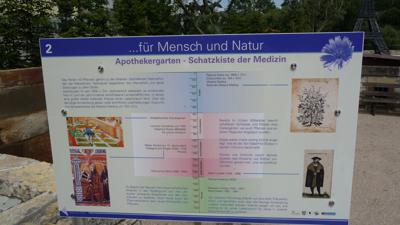 Heilpflanzen- und Kulturlandschaft Aschhausen