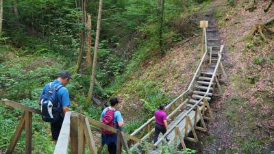 Firstwaldrunde – ein Premiumwanderweg der Abwechslung garantiert