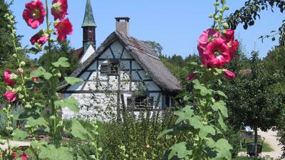 Biodiversitätspfad Calw-Heumaden