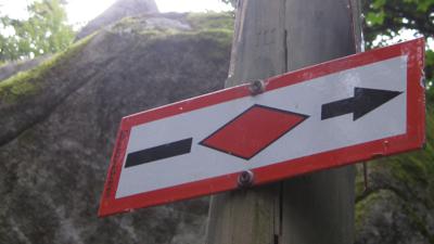 Trimm-Dich-Pfad Friedrichshafen Seewald