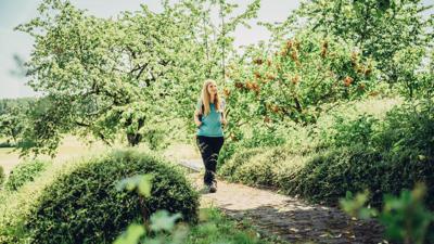 BS4 – Madonnen und Flurkreuzeweg
