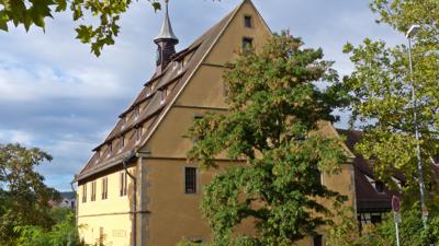 Der Löffelstelzweg – von Mühlacker über die Burgruine nach Dürrmenz