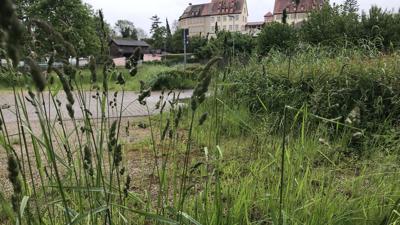 Natur-Erlebnis-Pfad auf dem Kraichradweg