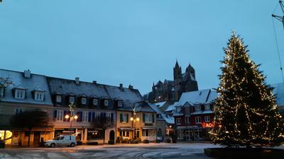 Breisach am Rhein: Winterlicher Spaziergang
