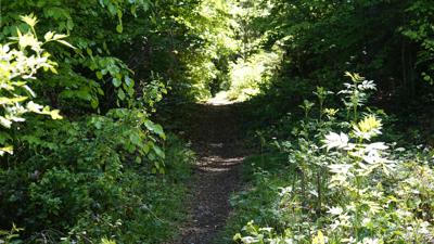 Idyllische Weiher-Wanderung und tierisches Vergnügen am Affenberg
