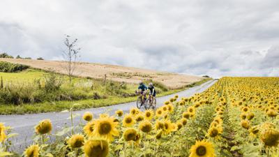 Auf die Räder, fertig. Urlaub! Die Bodensee-Radstory WIR SAGEN SERVUS, GRÜEZI UND HALLO
