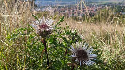 Mössinger Extratour: Einmal rund um den „Hausberg“