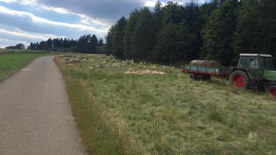 Auf der Streuobst-Radroute von Mössingen nach Balingen