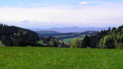 Herrischried: Aussichtsreiche Rundwanderung