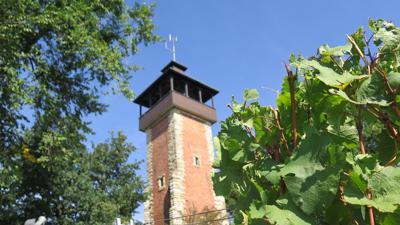 Weinwanderweg Bad Cannstatt: Vom Max-Eyth-See zum Burgholzhof