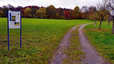 Rundwanderweg in Diefenbach – Kulturlandschaft im Wandel