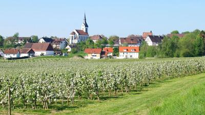 Wanderung von Lippertsreute zum markgräflichen Schloss nach Salem