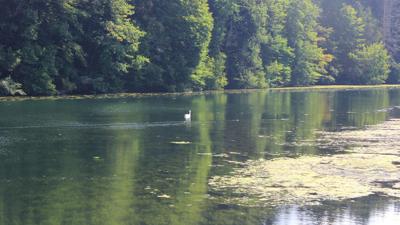 Argenbühl – Rund um den Gottrazhofer Stausee – Nr. 2