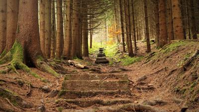 IVB MTB Tour 5 | HochOben