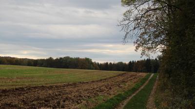12 – Rund um Buch