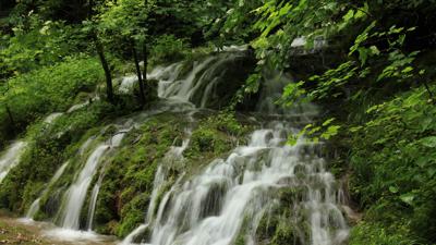 Zu Klosterweiher und Schafbrühlweiher