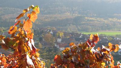 SH1 – Rundwanderweg Historisches Kirbachtal