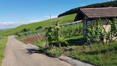 Natur Schön (WE5)