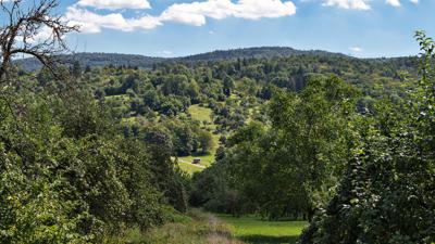 Winterbacher Rundwanderweg 1