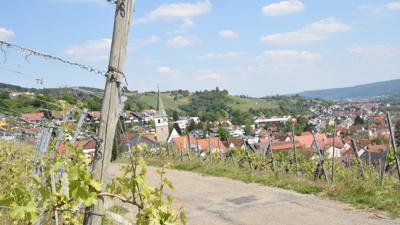 Pilgern im Remstal (6): Wein und Reben – Grunbach bis Waiblingen
