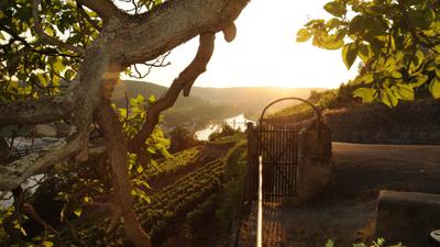 Neckarsteig: Etappe Mosbach – Gundelsheim