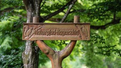 Naturpfad Specht