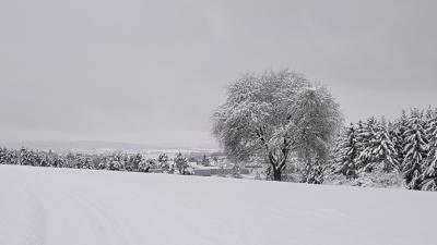 Kürnbach Ravensburg-Tour 1 #Schwarzrieslingdorf