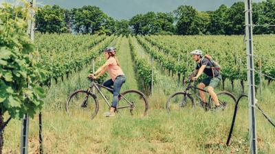 Etappe 4b:  Lauffen – Marbach | Württemberger Weinradweg
