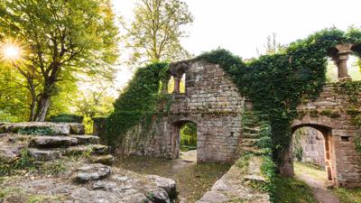 Von Eberbach nach Zwingenberg
