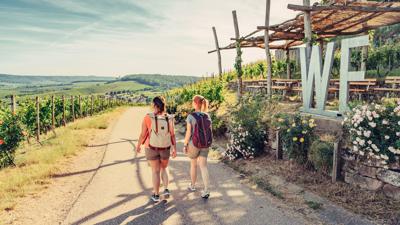 Z8 Natur- und Weinlehrpfad im Zweifelberg