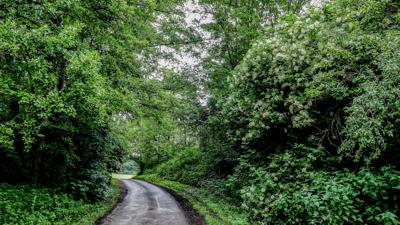 Argenbühl – Hummelberg Runde – Nr. 5