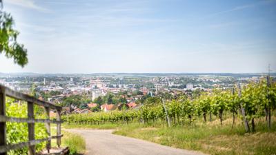 Wein Panorama Weg Heilbronn – Weinlehrpfad