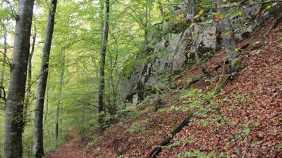 15 – Bei der Kaisereiche