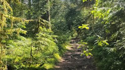 Barfußpfad Kohlplattenwald