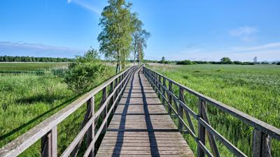 Oberschwaben-Allgäu-Radweg: Etappe 6 – Von Aulendorf nach Bad Buchau