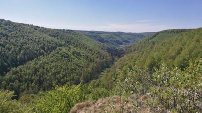 3 – Rund um den Kaltentalweiher
